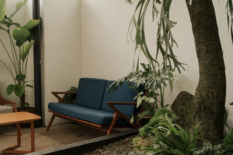 Interior space with natural light and planting